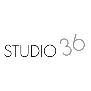 logo partenaire studio 36